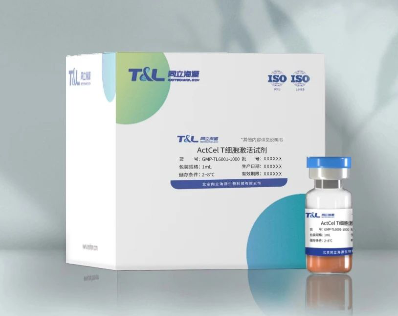 ActCel T细胞激活试剂<i>GMP级别</i>